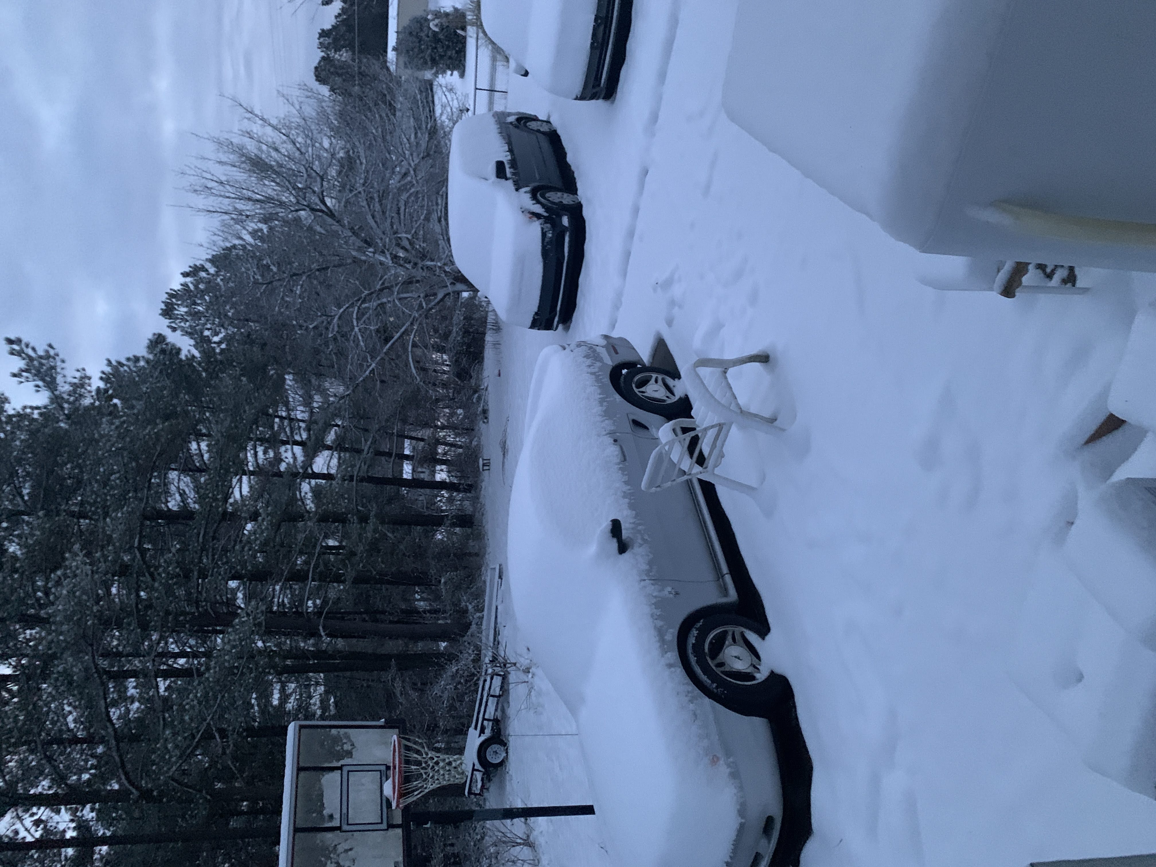 Snowday